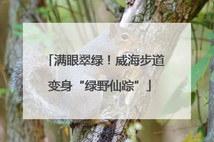 满眼翠绿！威海步道变身“绿野仙踪”