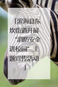 滨海县东坎街道开展“消防安全进校园”主题宣传活动
