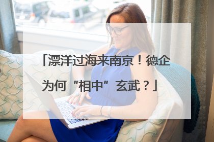 漂洋过海来南京！德企为何“相中”玄武？