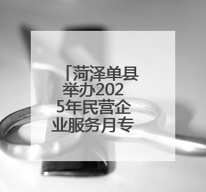 菏泽单县举办2025年民营企业服务月专场招聘会