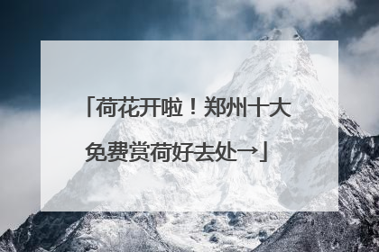 荷花开啦！郑州十大免费赏荷好去处→