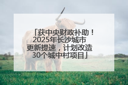 获中央财政补助！2025年长沙城市更新提速，计划改造30个城中村项目
