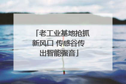 老工业基地抢抓新风口 传感谷传出智能强音
