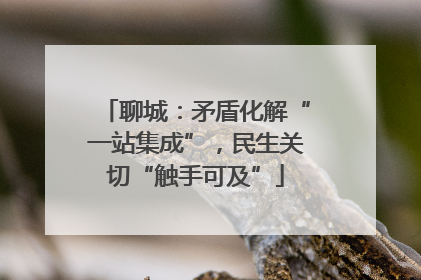 聊城：矛盾化解“一站集成”，民生关切“触手可及”