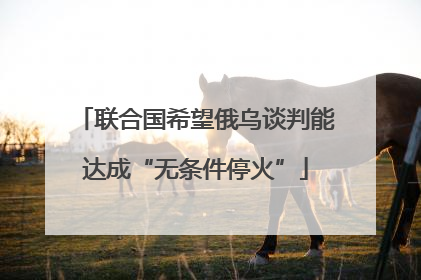 联合国希望俄乌谈判能达成“无条件停火”