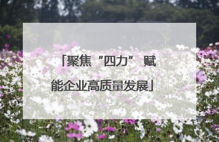 聚焦“四力” 赋能企业高质量发展