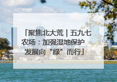 聚焦北大荒｜五九七农场：加强湿地保护 发展向“绿”而行