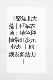 聚焦北大荒｜延军农场：特色种植带旺多元业态 土地焕发新活力