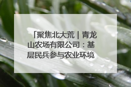 聚焦北大荒｜青龙山农场有限公司：基层民兵参与农业环境综合治理显效