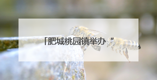 肥城桃园镇举办“守住钱袋子护好幸福家”宣教活动