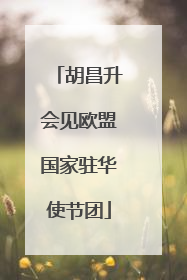 胡昌升会见欧盟国家驻华使节团