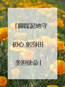 脚踩泥地守初心 躬身田垄担使命