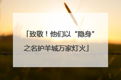 致敬！他们以“隐身”之名护羊城万家灯火