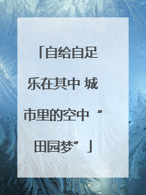 自给自足 乐在其中 城市里的空中“田园梦”