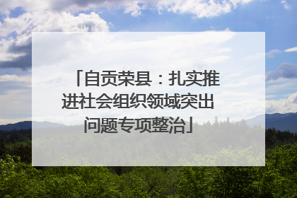 自贡荣县：扎实推进社会组织领域突出问题专项整治