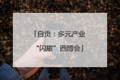 自贡：多元产业“闪耀”西博会