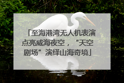 至海港湾无人机表演点亮威海夜空，“天空剧场”演绎山海奇境