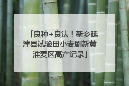 良种+良法！新乡延津县试验田小麦刷新黄淮麦区高产记录