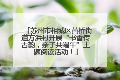 苏州市相城区黄桥街道方浜村开展“书香传古韵，亲子共端午”主题阅读活动！