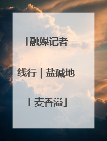 融媒记者一线行｜盐碱地上麦香溢