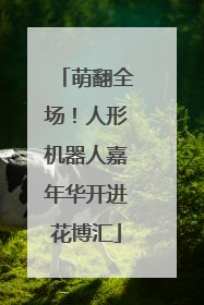 萌翻全场！人形机器人嘉年华开进花博汇