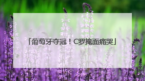 葡萄牙夺冠！C罗掩面痛哭