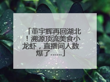 董宇辉再回湖北！溯源顶流美食小龙虾，直播间人数爆了……