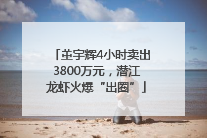 董宇辉4小时卖出3800万元，潜江龙虾火爆“出圈”