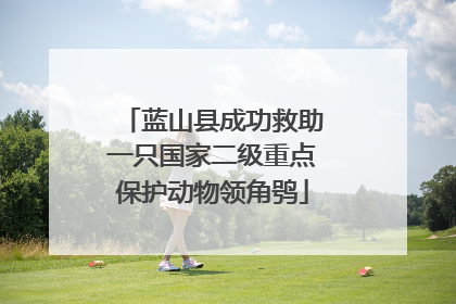 蓝山县成功救助一只国家二级重点保护动物领角鸮