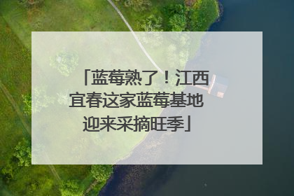 蓝莓熟了！江西宜春这家蓝莓基地迎来采摘旺季