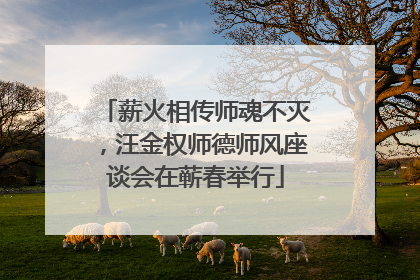 薪火相传师魂不灭，汪金权师德师风座谈会在蕲春举行