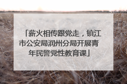 薪火相传跟党走，镇江市公安局润州分局开展青年民警党性教育课