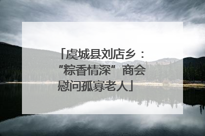 虞城县刘店乡：“粽香情深”商会慰问孤寡老人