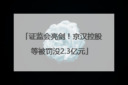 证监会亮剑！京汉控股等被罚没2.3亿元