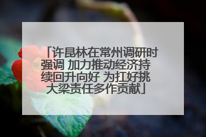 许昆林在常州调研时强调 加力推动经济持续回升向好 为扛好挑大梁责任多作贡献