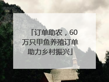 订单助农，60万只甲鱼养殖订单助力乡村振兴