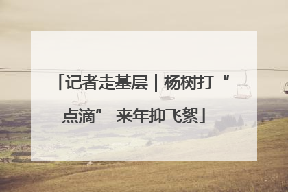 记者走基层｜杨树打“点滴” 来年抑飞絮