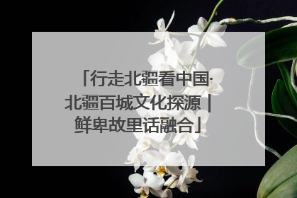 行走北疆看中国·北疆百城文化探源｜鲜卑故里话融合
