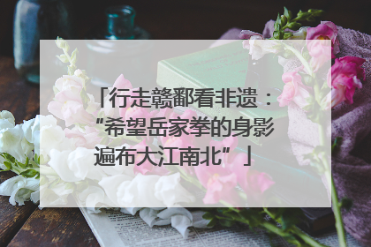 行走赣鄱看非遗：“希望岳家拳的身影遍布大江南北”
