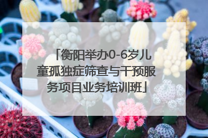 衡阳举办0-6岁儿童孤独症筛查与干预服务项目业务培训班