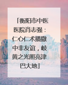 衡阳市中医医院肖志强：仁心仁术播撒中非友谊，岐黄之光照亮津巴大地