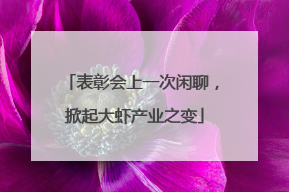 表彰会上一次闲聊，掀起大虾产业之变