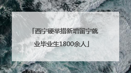 西宁硬举措新增留宁就业毕业生1800余人