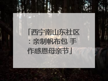 西宁南山东社区：亲制帆布包 手作感恩母亲节