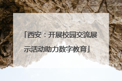 西安：开展校园交流展示活动助力数字教育