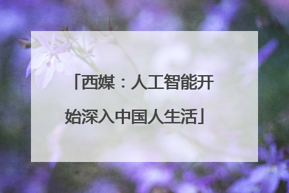 西媒：人工智能开始深入中国人生活