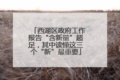 西湖区政府工作报告“含新量”超足，其中读懂这三个“新”最重要