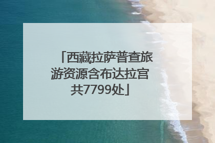 西藏拉萨普查旅游资源含布达拉宫共7799处