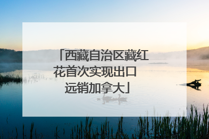 西藏自治区藏红花首次实现出口 远销加拿大