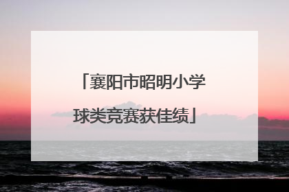 襄阳市昭明小学球类竞赛获佳绩